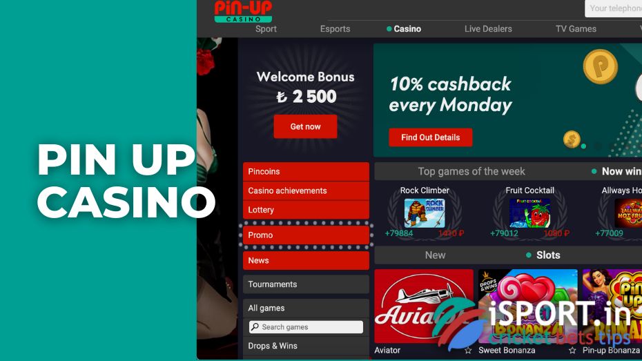 casino online pin up game slots betting