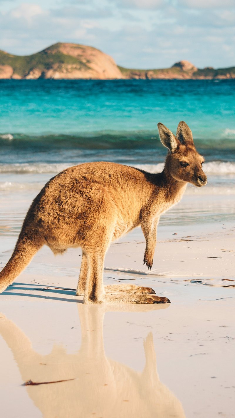 You are currently viewing Unlocking Your Dream Vacation: Tips for a Stress-Free Getaway